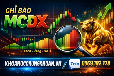 Chỉ báo MCDX là gì? Cách nhận biết dòng tiền lớn trong chứng khoán