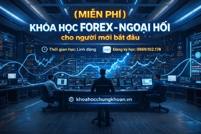  (MIỄN PHÍ) Khóa học giao dịch ngoại hối forex cho người mới bắt đầu